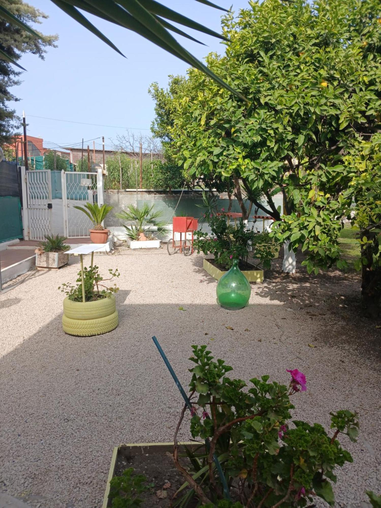 Garden Green Da Virna Torre Annunziata Exteriör bild